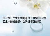 求刁蛮公主中的插曲是什么介绍(求刁蛮公主中的插曲是什么详细情况如何)