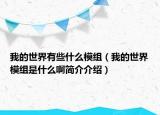 我的世界有些什么模组（我的世界模组是什么啊简介介绍）