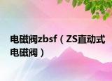 电磁阀zbsf（ZS直动式电磁阀）