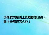 小孩发烧后嘴上长疱疹怎么办（嘴上长疱疹怎么办）