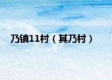 乃镇11村（其乃村）
