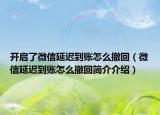开启了微信延迟到账怎么撤回（微信延迟到账怎么撤回简介介绍）