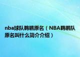 nba球队鹈鹕原名（NBA鹈鹕队原名叫什么简介介绍）