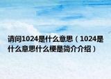 请问1024是什么意思（1024是什么意思什么梗是简介介绍）