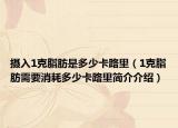 摄入1克脂肪是多少卡路里（1克脂肪需要消耗多少卡路里简介介绍）