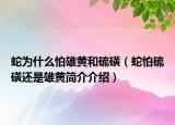 蛇为什么怕雄黄和硫磺（蛇怕硫磺还是雄黄简介介绍）