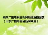 山东广播电视台新闻频道直播回放（山东广播电视台新闻频道）