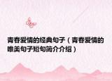 青春爱情的经典句子（青春爱情的唯美句子短句简介介绍）