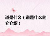道是什么（道是什么简介介绍）