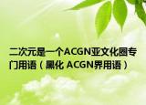 二次元是一个ACGN亚文化圈专门用语（黑化 ACGN界用语）