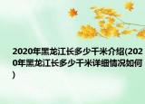 2020年黑龙江长多少千米介绍(2020年黑龙江长多少千米详细情况如何)