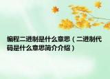 编程二进制是什么意思（二进制代码是什么意思简介介绍）