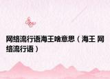 网络流行语海王啥意思（海王 网络流行语）