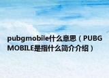 pubgmobile什么意思（PUBGMOBILE是指什么简介介绍）