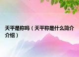 天平是称吗（天平称是什么简介介绍）