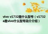 vivo v1732是什么型号（v1732a是vivo什么型号简介介绍）