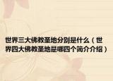 世界三大佛教圣地分别是什么（世界四大佛教圣地是哪四个简介介绍）