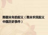 隋朝末年的起义（隋末农民起义 中国历史事件）