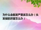 为什么会脱发严重该怎么办（头发掉的厉害怎么办）