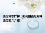 西瓜籽怎样种（如何用西瓜籽种西瓜简介介绍）