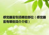 感觉器官包括哪些部位（感觉器官有哪些简介介绍）
