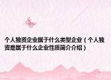 个人独资企业属于什么类型企业（个人独资是属于什么企业性质简介介绍）