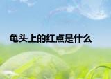 龟头上的红点是什么
