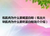 练肌肉为什么要喝蛋白粉（练出大块肌肉为什么要吃蛋白粉简介介绍）