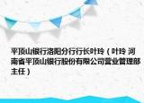 平顶山银行洛阳分行行长叶玲（叶玲 河南省平顶山银行股份有限公司营业管理部主任）