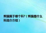 熊猫属于哪个科?（熊猫是什么科简介介绍）