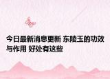 今日最新消息更新 东陵玉的功效与作用 好处有这些