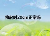 勃起时20cm正常吗