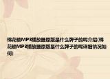 棉花糖MP3播放器原版是什么牌子的呢介绍(棉花糖MP3播放器原版是什么牌子的呢详细情况如何)