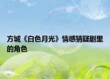 方城《白色月光》情感猜疑剧里的角色