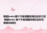 韩剧brain(哪个字幕组翻译得比较好介绍 韩剧brain 哪个字幕组翻译得比较好详细情况如何)