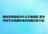 网商贷有额度为什么不能借款 因为评估不过吗具体情况详细内容介绍