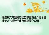 堤溃蚁穴气泄针芒出自哪里简介介绍（堤溃蚁穴气泄针芒出自哪里简介介绍）