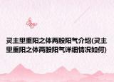 灵主里重阳之体两股阳气介绍(灵主里重阳之体两股阳气详细情况如何)