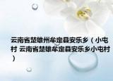 云南省楚雄州牟定县安乐乡（小屯村 云南省楚雄牟定县安乐乡小屯村）