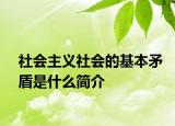 社会主义社会的基本矛盾是什么简介