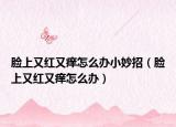 脸上又红又痒怎么办小妙招（脸上又红又痒怎么办）