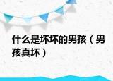 什么是坏坏的男孩（男孩真坏）