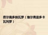费尔南多纳瓦罗（维尔弗雷多卡瓦列罗）