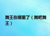 舞王在哪里了（舞吧舞王）