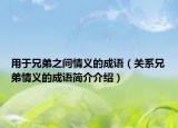 用于兄弟之间情义的成语（关系兄弟情义的成语简介介绍）