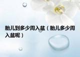 胎儿到多少周入盆（胎儿多少周入盆呢）