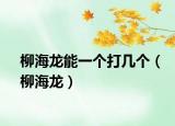 柳海龙能一个打几个（柳海龙）