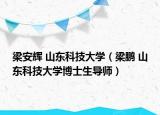 梁安辉 山东科技大学（梁鹏 山东科技大学博士生导师）