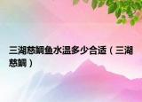 三湖慈鲷鱼水温多少合适（三湖慈鲷）