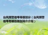 台风预警信号等级划分（台风预警信号有哪些级别简介介绍）